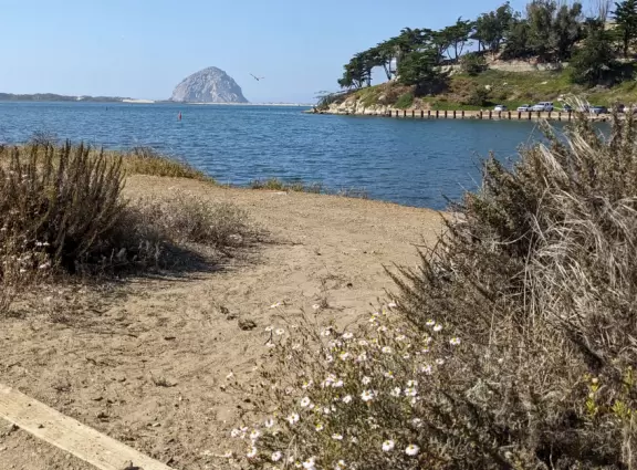 Flat wooden boardwalk loop trail along the estuary- you see divebombing pelicans, Morro Rock, cypress trees on the hills opposite, salt marsh, and mountains in the distance.