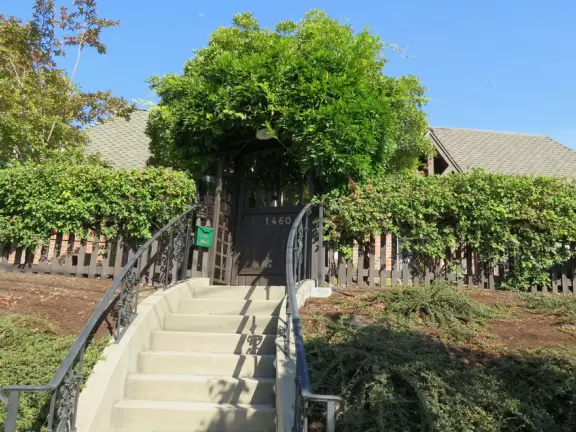 Historic houses, beautiful trees, and views of the volcanic peaks.