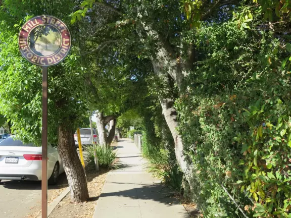 Historic houses, beautiful trees, and views of the volcanic peaks.
