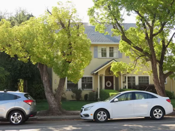 Historic houses, beautiful trees, and views of the volcanic peaks.