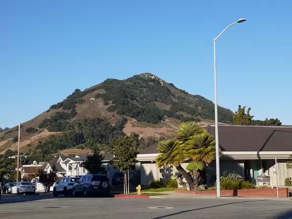 Historic houses, beautiful trees, and views of the volcanic peaks.