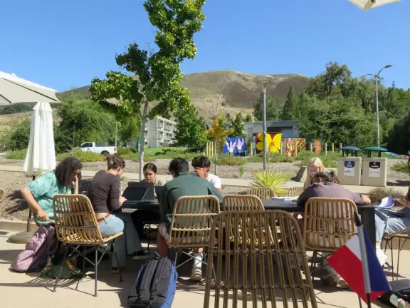 Hilly, sunny campus with tall, impressive trees and green lawns. A hands-on learning university.