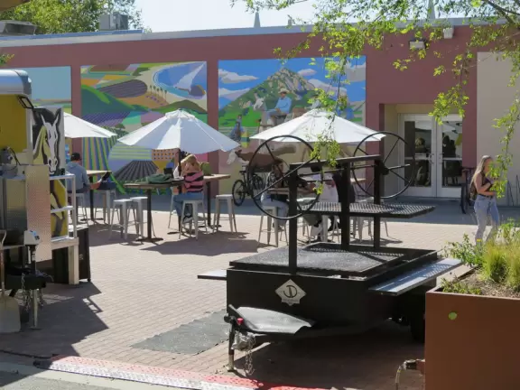 Hilly, sunny campus with tall, impressive trees and green lawns. A hands-on learning university.