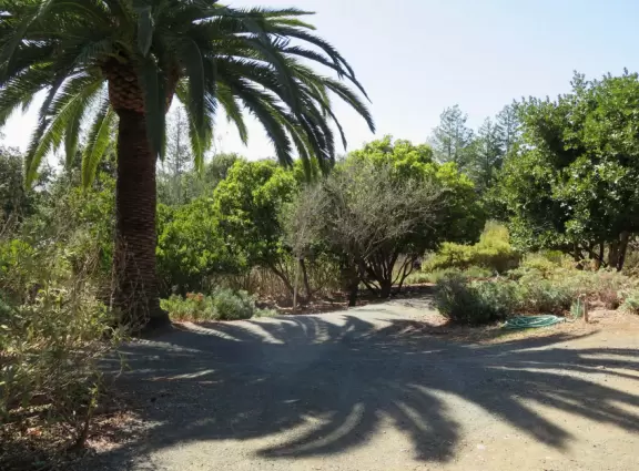 Lovely stroll past many different types of trees blossoming with seeds and flowers.