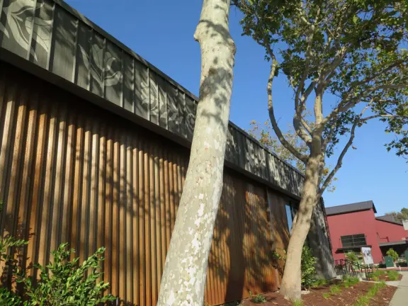 Trendy area with coffee shop, beer garden, wine bars, and cider bar, in industrial-style architecture with murals.