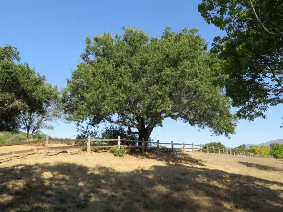 Cute playground with two bridges to go under, near a school so there are kids there in the afternoon. Plus, a pretty neighborhood to walk.