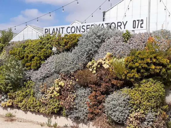 The Cal Poly Plant Conservatory has a vertical garden outside. 