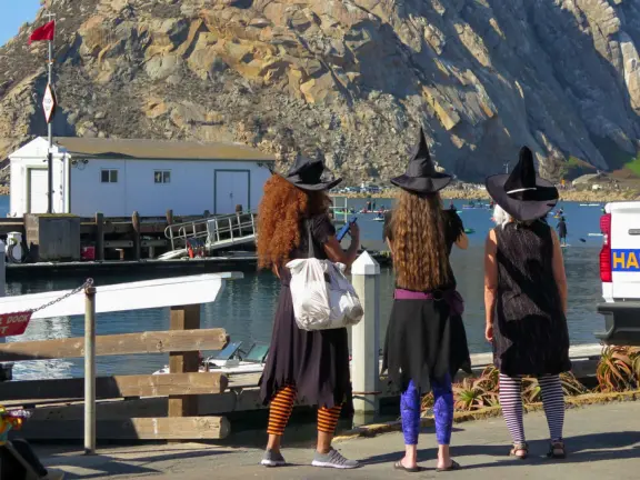 Amazing event a few days before Halloween, where witches and warlocks paddle around in the bay!