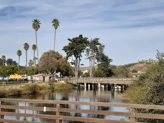 Wonderful wooden boardwalk over the dunes, with gorgeous views of the sea! Plus eucalyptus forest. You can walk 1.7 miles in total!
