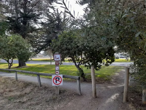Wonderful wooden boardwalk over the dunes, with gorgeous views of the sea! Plus eucalyptus forest. You can walk 1.7 miles in total!