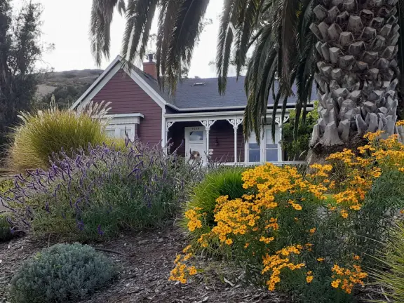 Lovely neighborhood walk past sweet houses and gardens, near fragrant hills with eucalyptus and wildflowers, plus a playground and lawn.