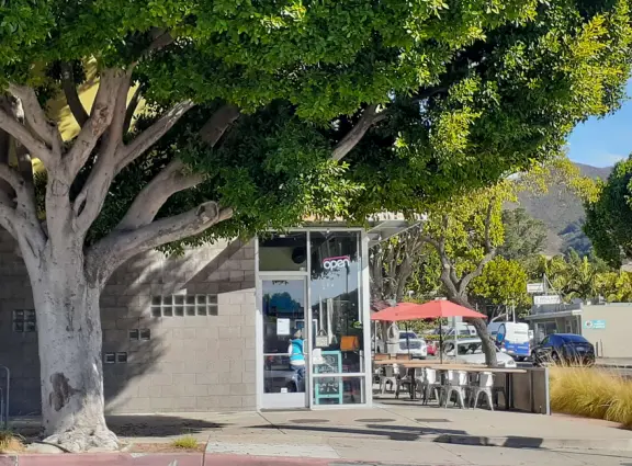 Historic houses, beautiful trees, and views of the volcanic peaks.