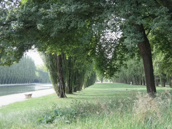 A beautiful park with a grand canal, an impressively high fountain, flower beds, a chateau, and the loveliest trees.