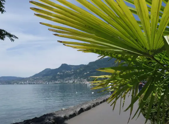 Sleepier version of Montreux with many retirees- a pleasant place to walk and an affordable place to stay in a hotel.