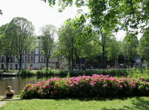 Magical park on a canal, with willow trees, huge trees with knobby trunks, sculptures, hydrangea bushes, and a wooden playground with cable..