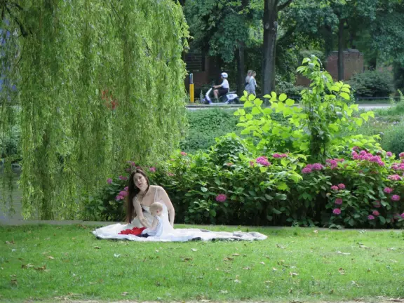 Magical park on a canal, with willow trees, huge trees with knobby trunks, sculptures, hydrangea bushes, and a wooden playground with cable..