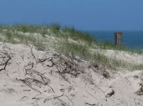 A glorious beach in Grover Beach town, with sand dunes and a wooden boardwalk, plus an octagon-shaped wooden pier in the sand.