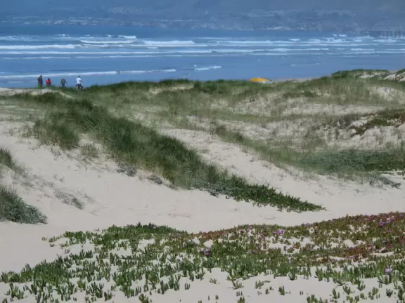 A glorious beach in Grover Beach town, with sand dunes and a wooden boardwalk, plus an octagon-shaped wooden pier in the sand.