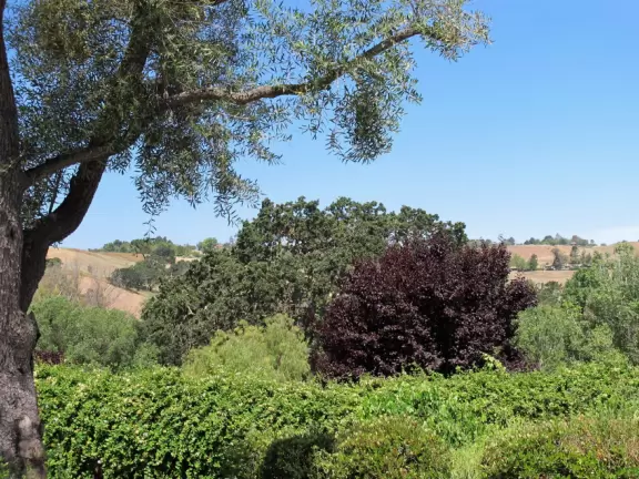 An idyllic spot in June or July- feels like you're in Provence!