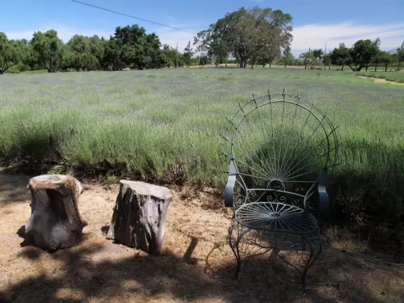 An idyllic spot in June or July- feels like you're in Provence!