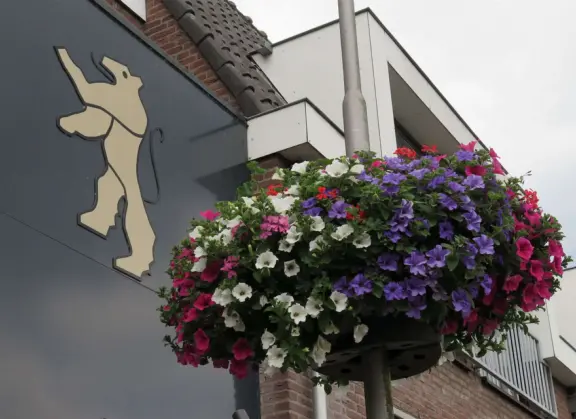 19 windmills that were built around 1740, along a canal, in a barren, wide open area. The windmills were built to pump water to prevent flooding. A touristy activity.