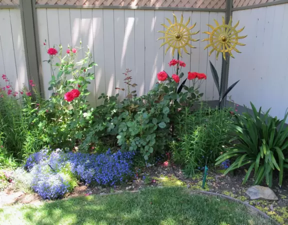 Cute town with wild west buildings and restaurants in Victorian houses.