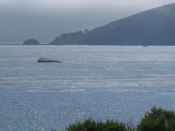 Walkway on the cliffs, in front of the resorts, that's bliss at sunset and in springtime when there are flowers galore. Take stairs down to a sheltered cove with tide pools.
