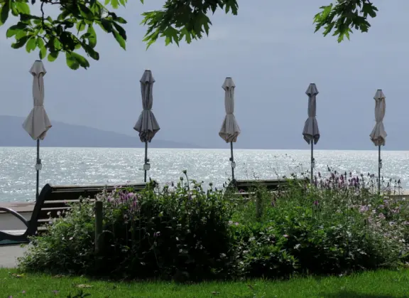 Beautiful waterfront walking path with flower beds, giant fork sculpture on the water, food museum with interesting garden, and square with historic buildings and cafes.