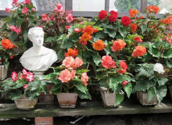 Half-timbered house over the ocean, with windmill and decorative lighthouse, and in summer, begonia house.