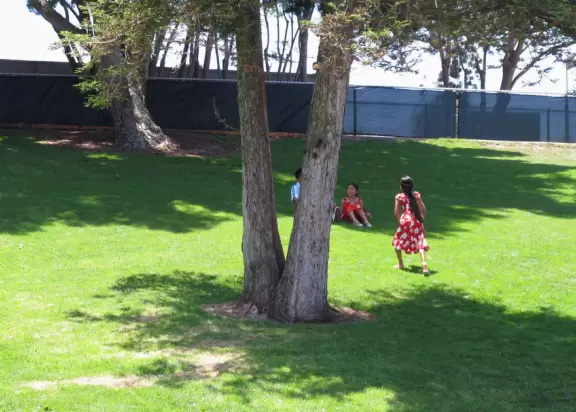 A huge beautiful park with lake, turtle and frog sculptures, lighthouse, boat to climb in, splash pad, workout equipment- you name it they have it! Four play areas!