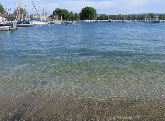 Crystal clear water, expansive lake views, and sweet park on the lake.