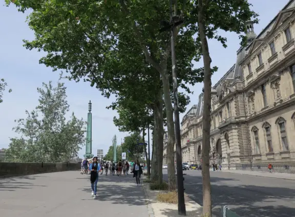 One of the best spots in Paris! Stroll along the pedestrian promenade at river level in bliss!