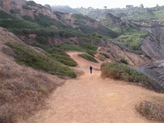 Emerald green cove with stunning high yellow cliffs.