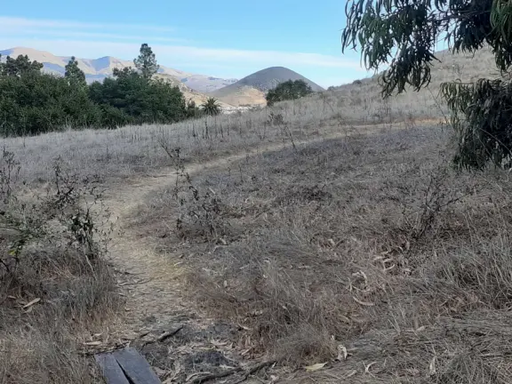 Hilltop park with basketball court with views, picnic tables, eucalyptus trees, and a difficult two-mile out-and-back trail.