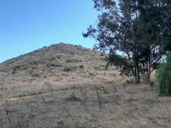 Hilltop park with basketball court with views, picnic tables, eucalyptus trees, and a difficult two-mile out-and-back trail.