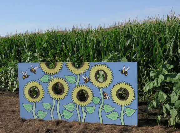 Beautiful pumpkin patch, in-ground trampolines, games, and a huge corn maze with two bridges in a gorgeous setting with mountain views.