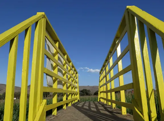 Beautiful pumpkin patch, in-ground trampolines, games, and a huge corn maze with two bridges in a gorgeous setting with mountain views.