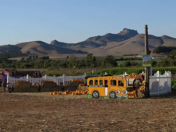 Beautiful pumpkin patch, in-ground trampolines, games, and a huge corn maze with two bridges in a gorgeous setting with mountain views.