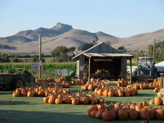 Beautiful pumpkin patch, in-ground trampolines, games, and a huge corn maze with two bridges in a gorgeous setting with mountain views.