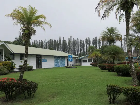 Lovely drive on a road lined with Norfolk pines, through macadamia nut fields, to a shop and lawn where you can see various tropical plants.