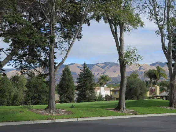 A pleasant walk past pretty houses, varied trees, and sweeping mountain views.