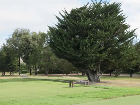 A pleasant walk past pretty houses, varied trees, and sweeping mountain views.