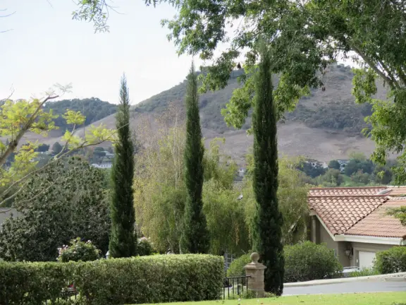 A pleasant walk past pretty houses, varied trees, and sweeping mountain views.