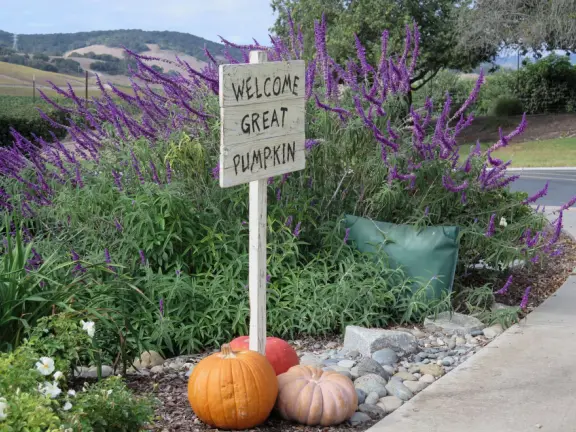 A pleasant walk past pretty houses, varied trees, and sweeping mountain views.