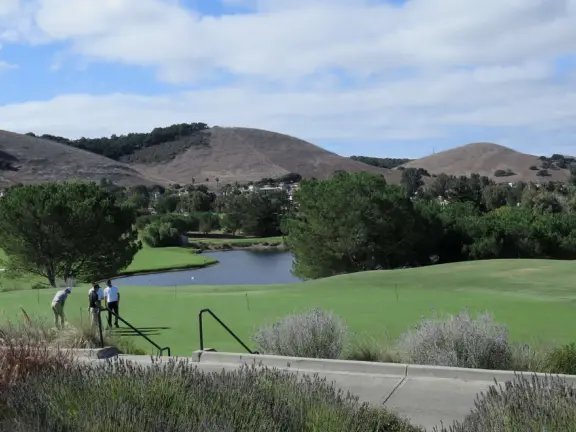 A pleasant walk past pretty houses, varied trees, and sweeping mountain views.