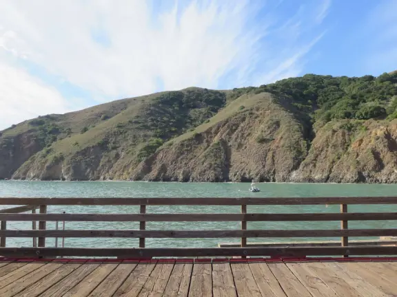 Harbor beach with hundreds of pelicans and sailboats bobbing in the water. Stunning views, seals barking on a floating dock, and outdoor cafe on Harford pier.