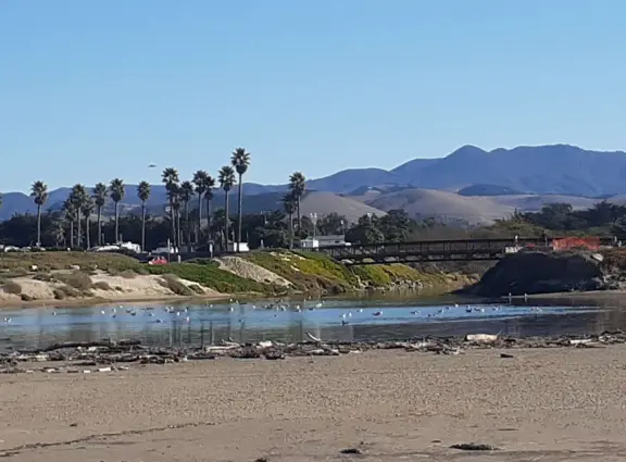 A gorgeous wild beach at the base of Morro Rock.