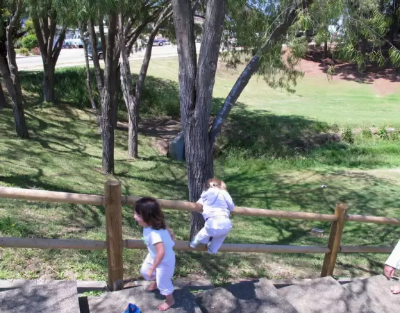 Neighborhood park shaped like a bowl with playground, forest, wooden bridges, and winding paths.
