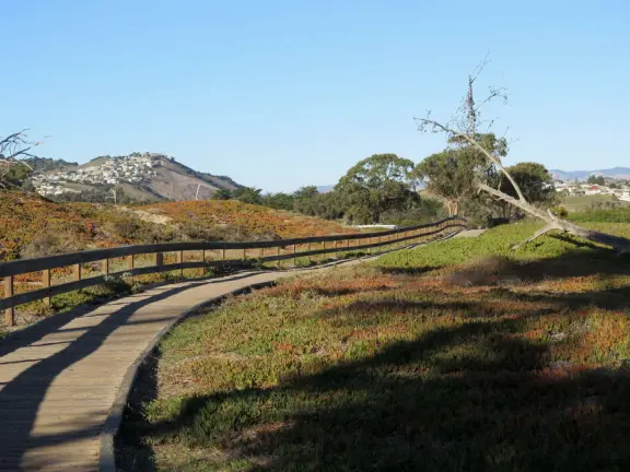 Sunny monarch butterfly grove amid tall eucalyptus trees, and a fantastic wooden boardwalk over dunes. Plus a wonderland of dunes to play in.