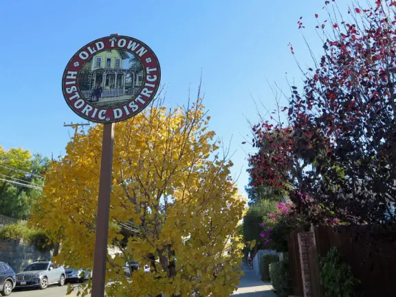 Take a walk past pretty Victorian homes and gardens.